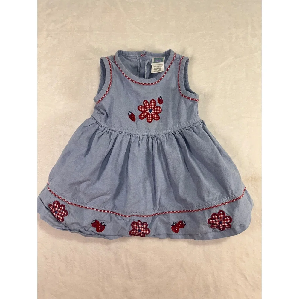Little Me Sleeveless Dress 6M Blue Strawberry Flower Gingham Trim Baby Girls